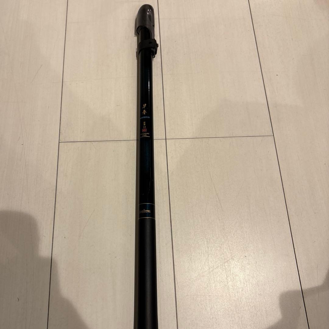 明日まで破格‼️Daiwa 早春（硬調53）