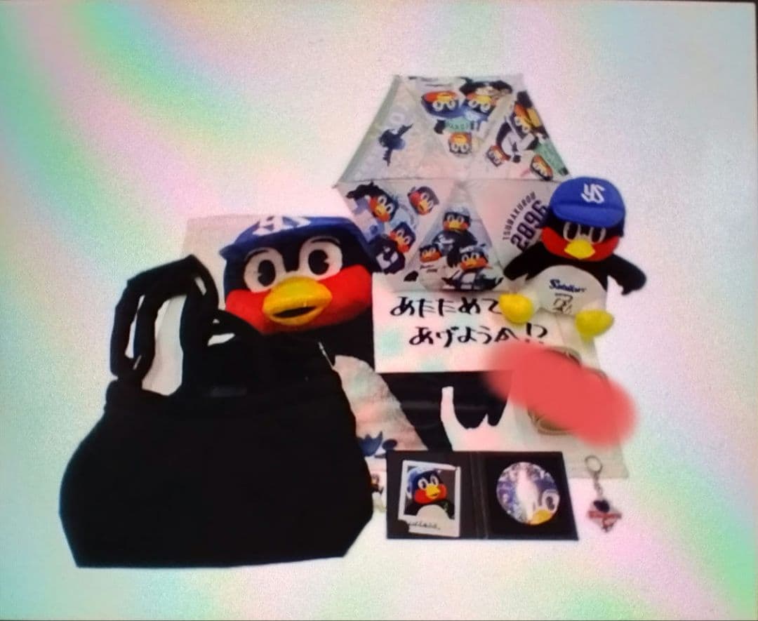 ※マグカップ入れてません。2024 ファン感謝デー　つば九郎セット
