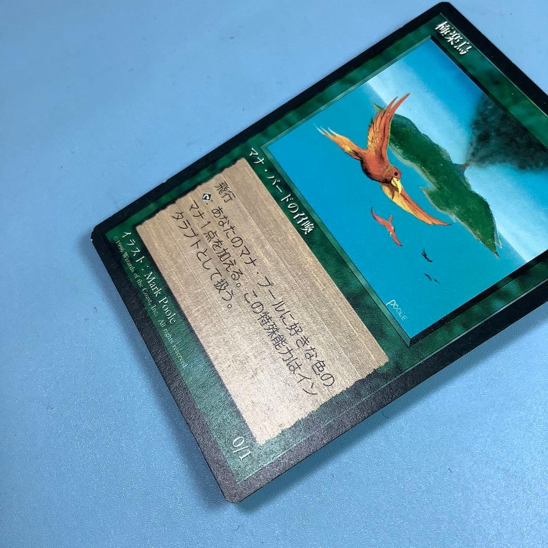 極楽鳥/Birds of Paradise 4ED日本語