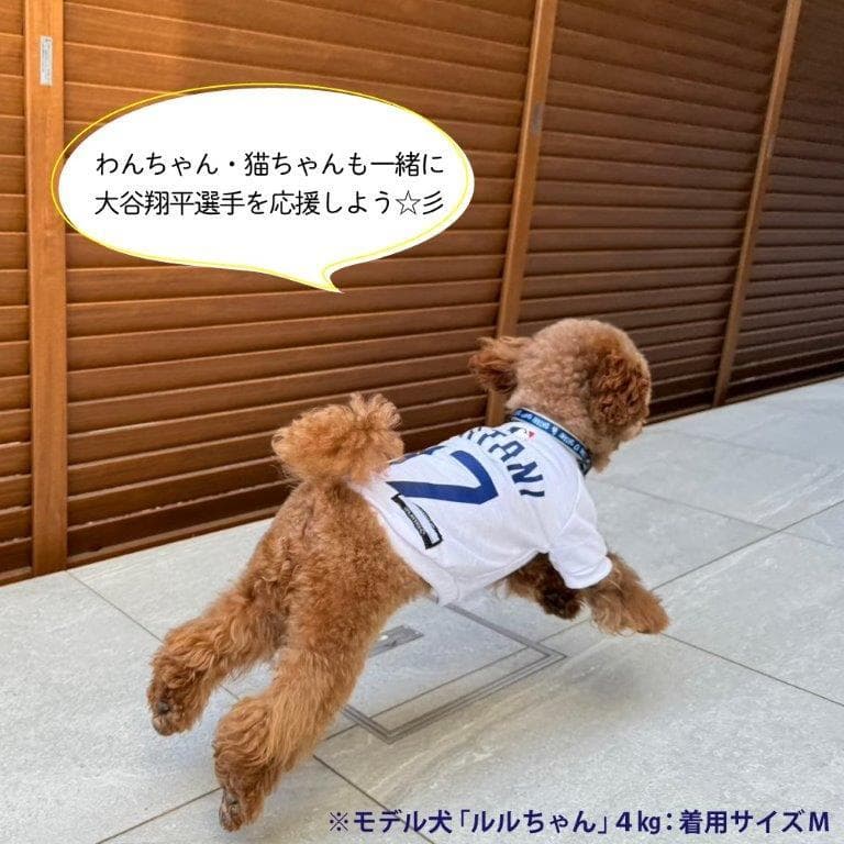 送料無料新品★犬の洋服ＭＬＢ公式ドジャース大谷翔平ユニホーム半袖ＴシャツＭサイズ