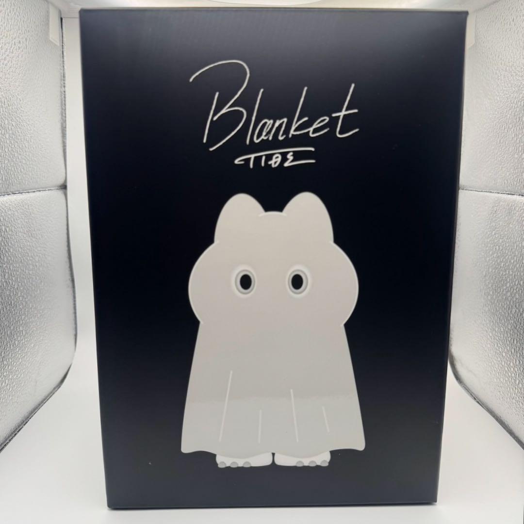 【世界300個限定】TIDE Blanket フィギュア イデタツヒロ DDT