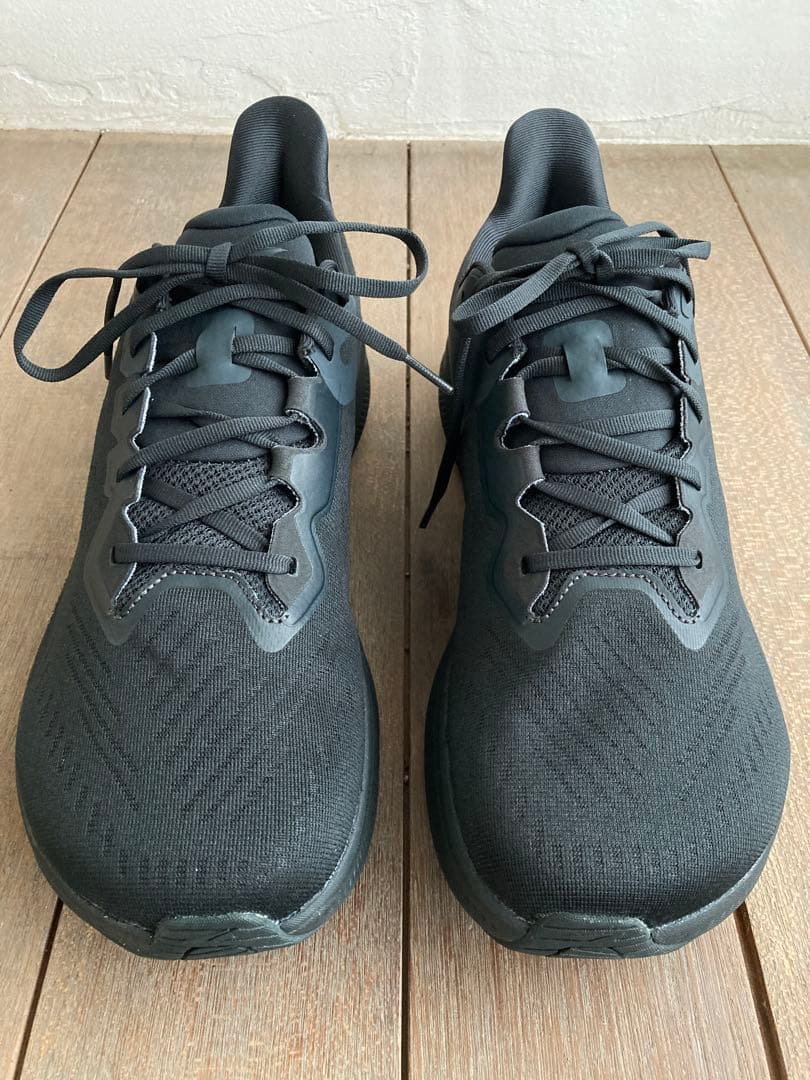 アルトラ EXPERIENCE FLOW2新品 US12 altra