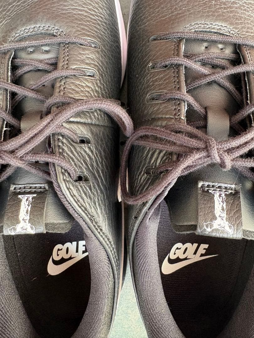 ゴルフシューズ ナイキ NIKE エアズーム ゴルフ メンズ シューズ