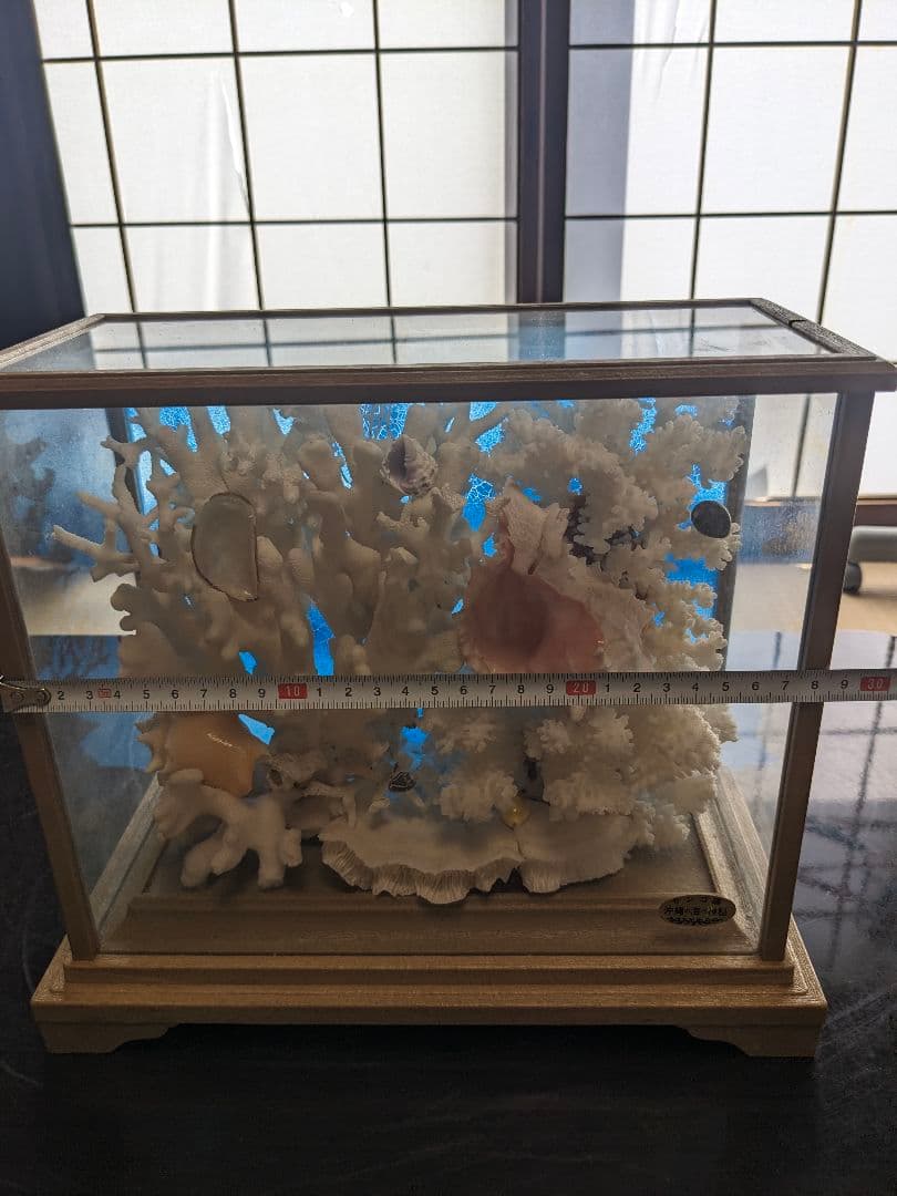 珊瑚礁　飾り珊瑚　ガラスケース付