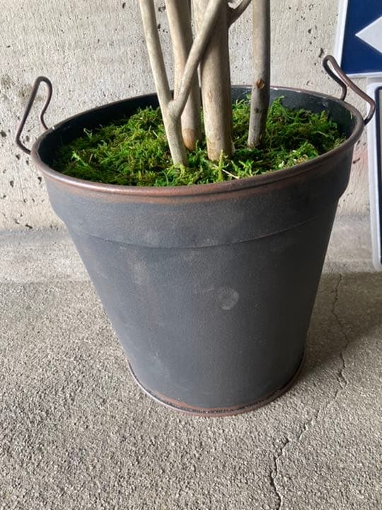 光触媒　人工観葉植物　ウォールグリーン　フェイク　フラワー　オリーブ　優世様