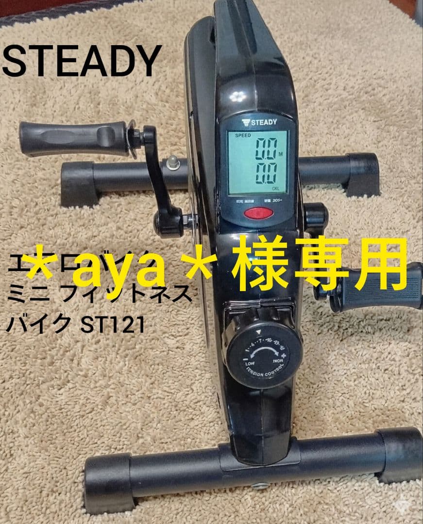 ヨネックス YONEX ホワイトキャップ STEADY エアロバイク