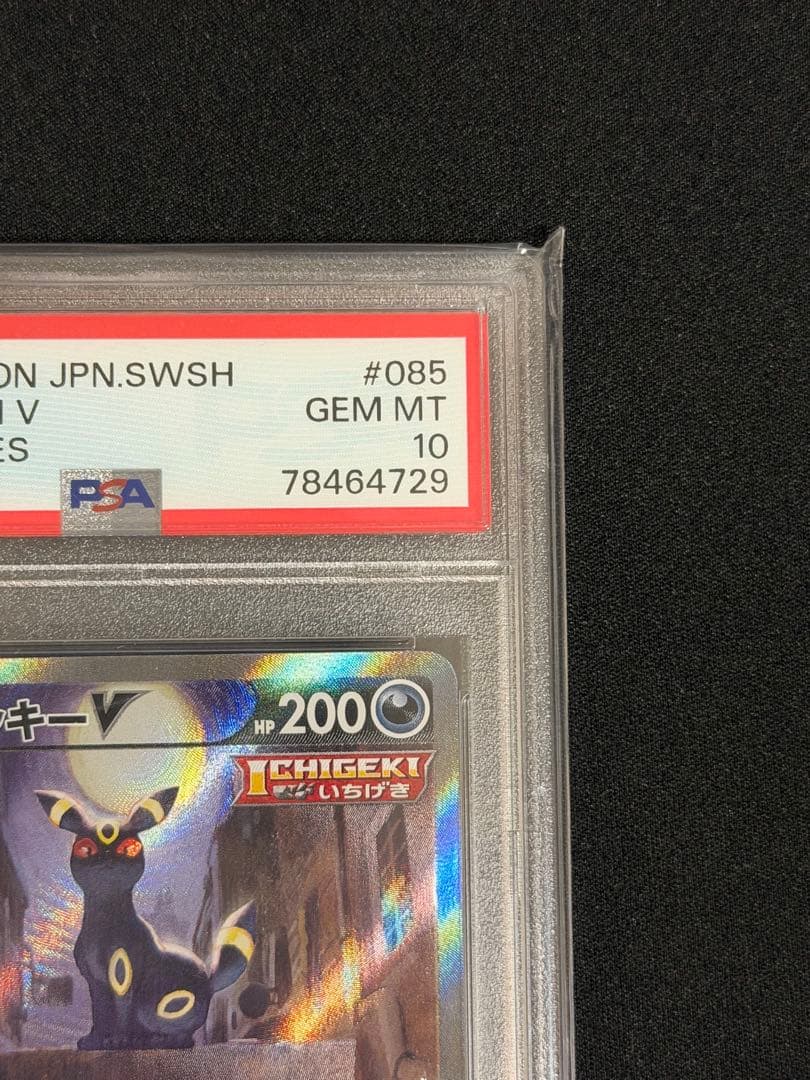 ブラッキーV SR PSA10 お買い得！！！