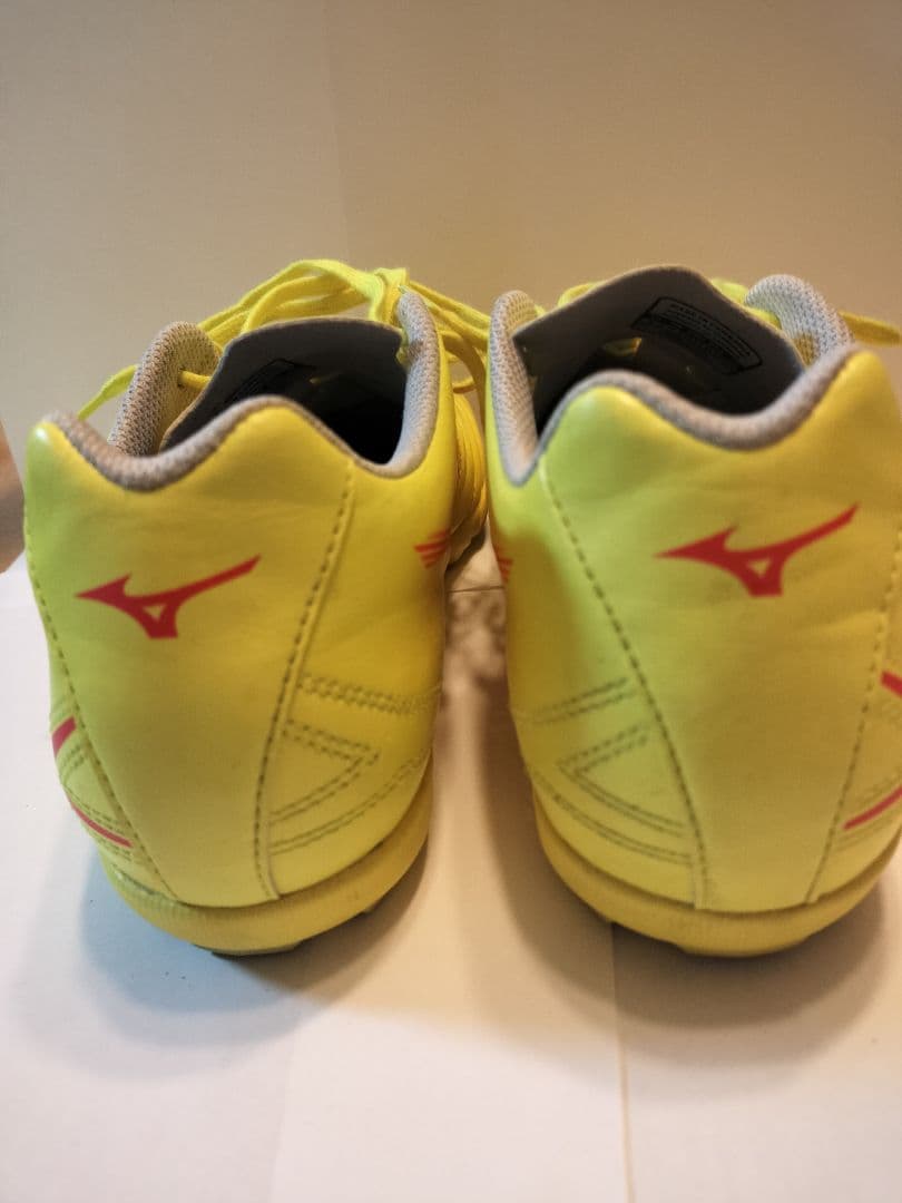 Mizuno Monarcidaneoトレーニングシューズ