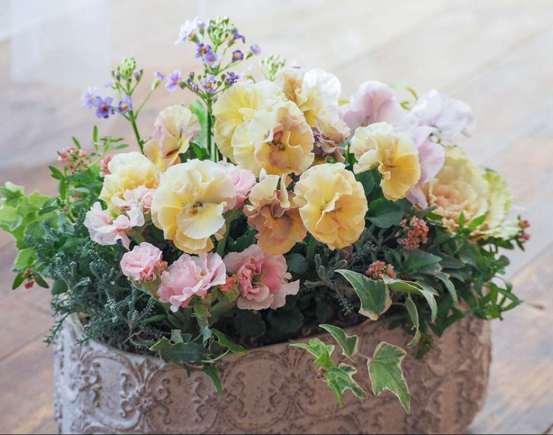 アチュードのキュートで可憐な寄せ植え