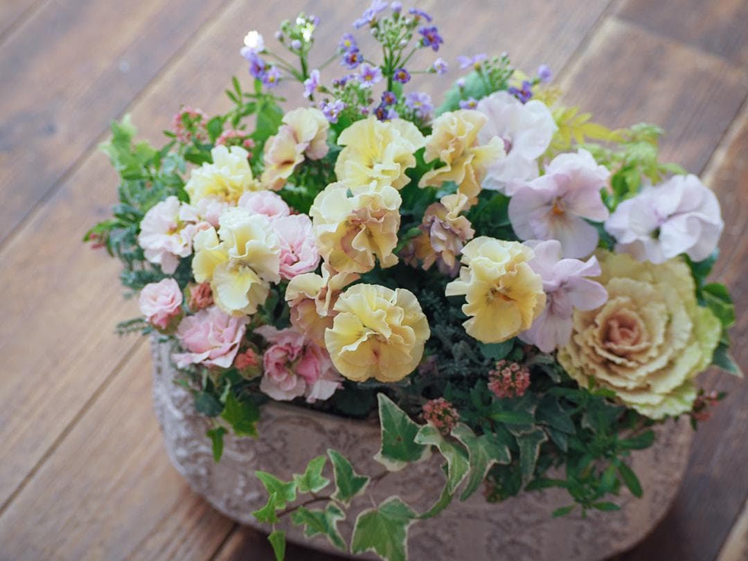 アチュードのキュートで可憐な寄せ植え