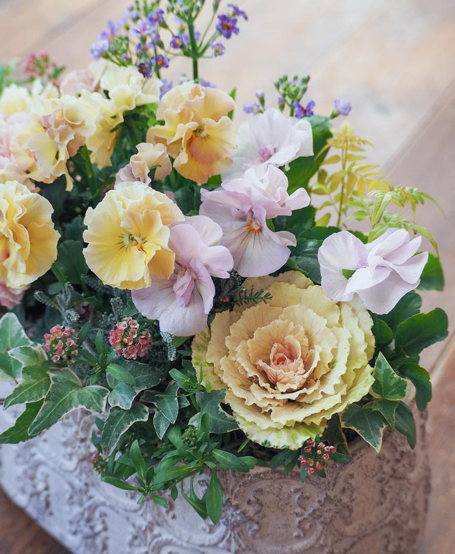 アチュードのキュートで可憐な寄せ植え