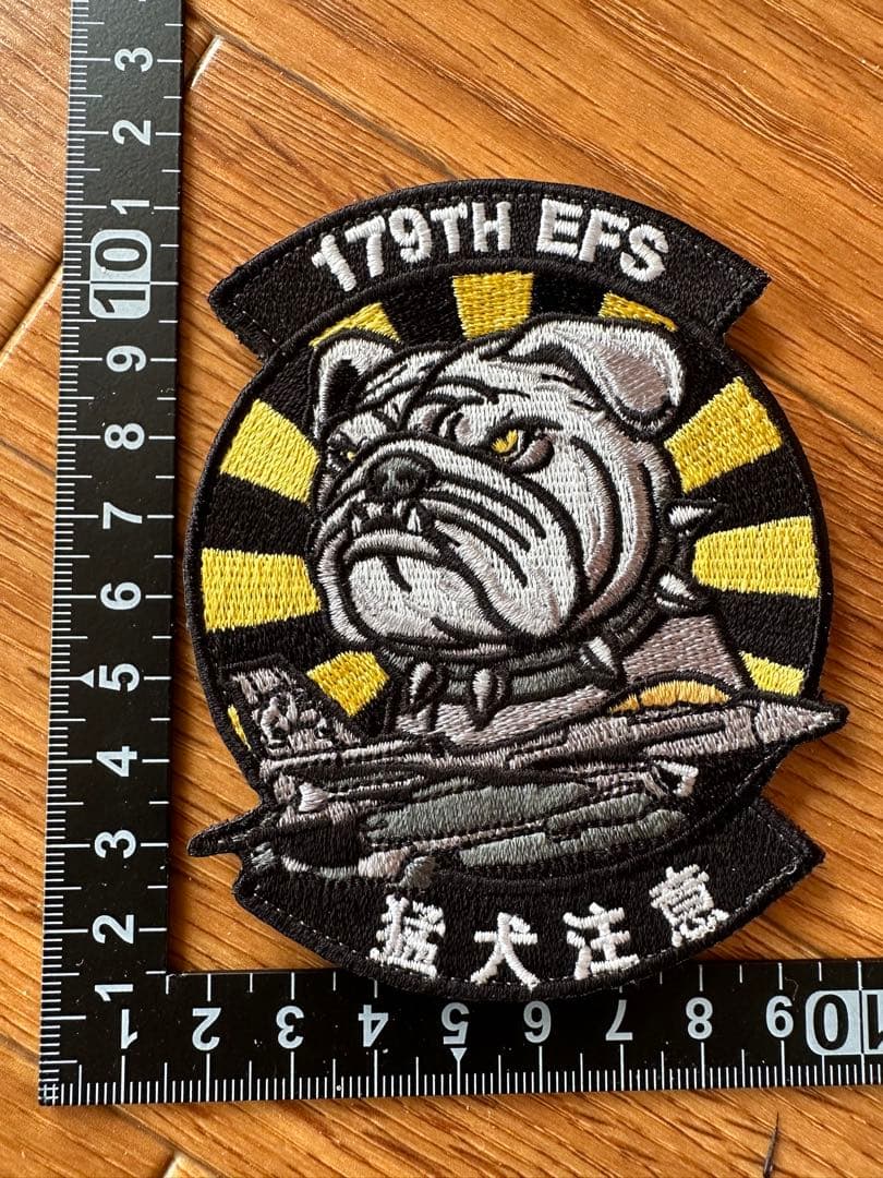 USAF 179th EFS 日本展開パッチ