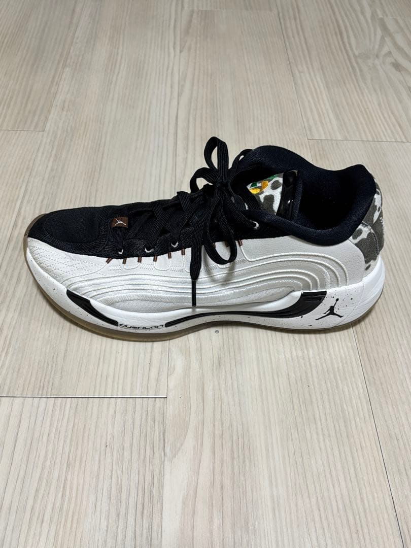 Jordan ルカ4 PF Gone Ranching