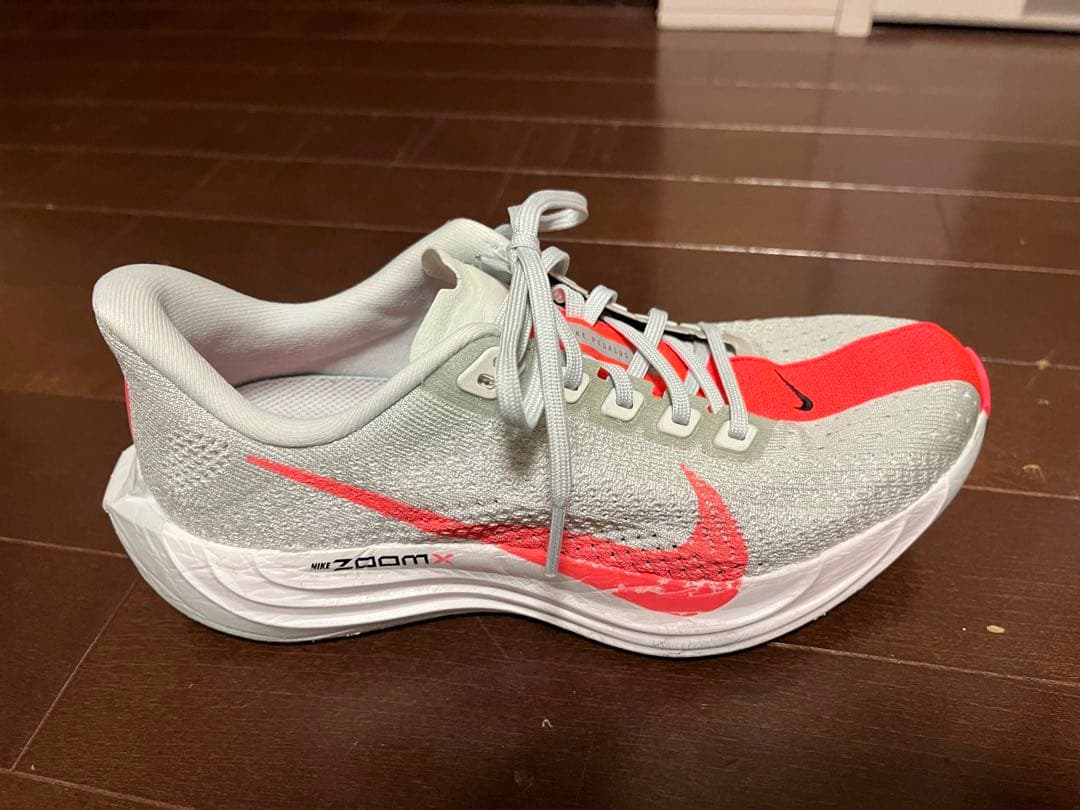 Nike☆ペガサスプラス☆24.5cm☆ナイキ☆zoom x