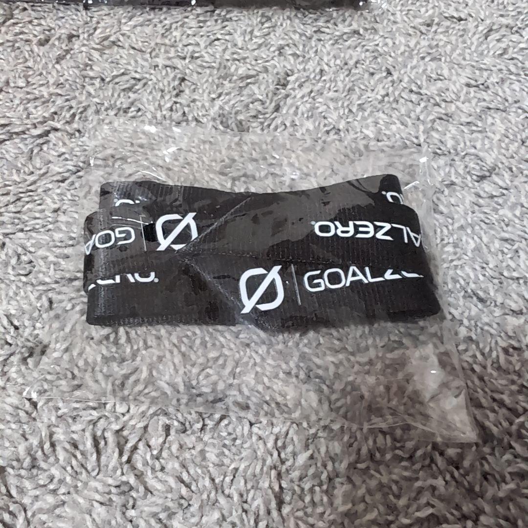 【限定品】GOAL ZERO LIGHTHOUSE micro flash