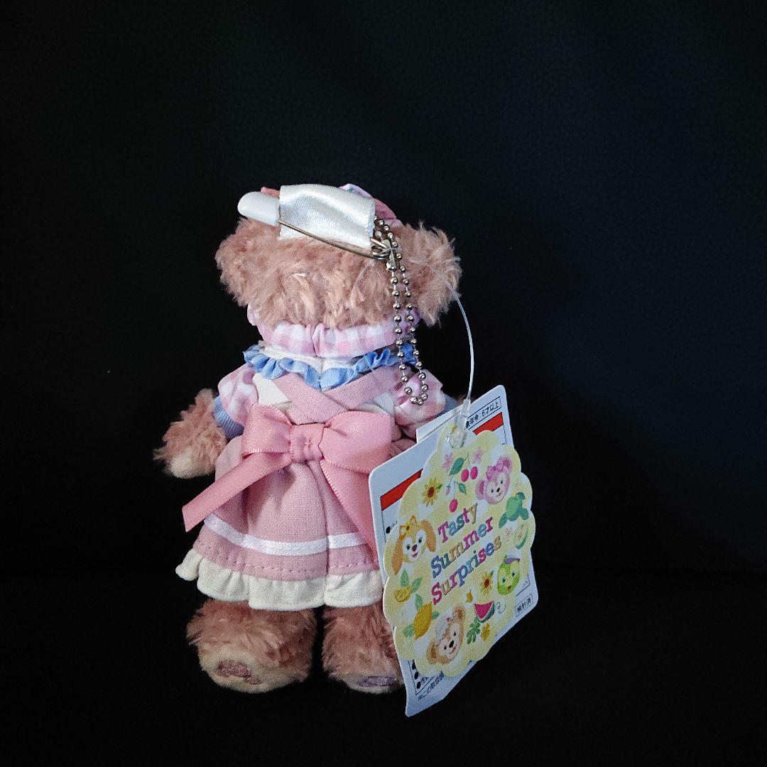 新品タグ付き TDS テイスティサマーサプライズ ぬいぐるみバッジ セット