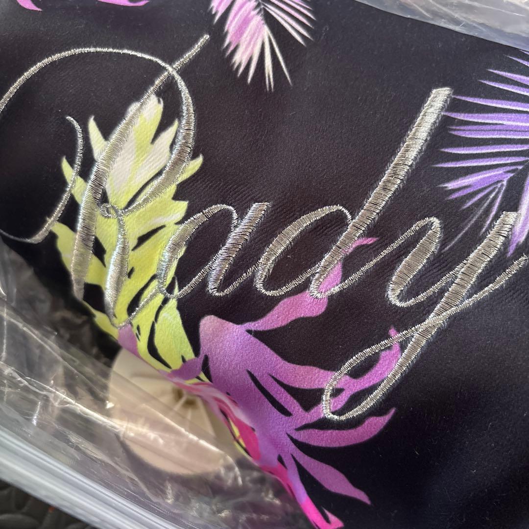 rady カーテン