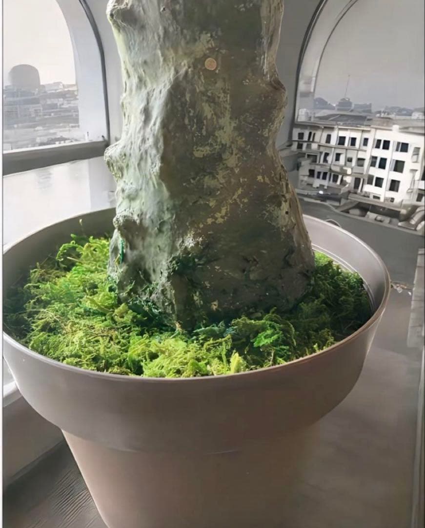 光触媒　人工観葉植物　ウォールグリーン　フェイクグリーン　フェニックス73