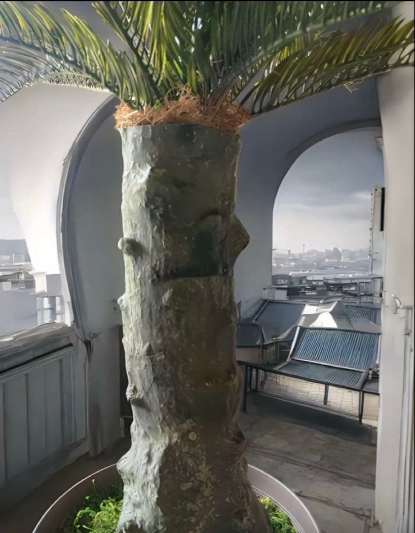 光触媒　人工観葉植物　ウォールグリーン　フェイクグリーン　フェニックス73