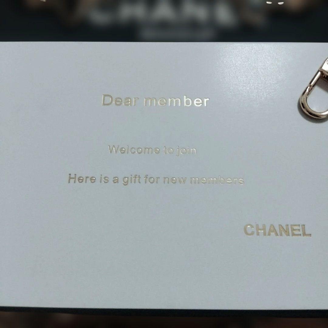 A*須様 CHANEL ノベルティ シャネル　ショルダーバッグ