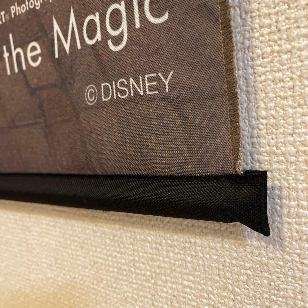 東京ディズニーリゾート イマジニング　ザ　マジック　タペストリー　実写