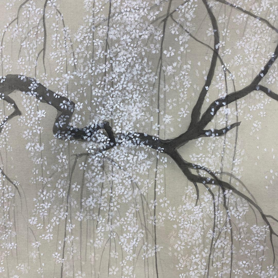 美品 掛け軸 玉香作 枝垂桜図 共箱 さくら 縁起物