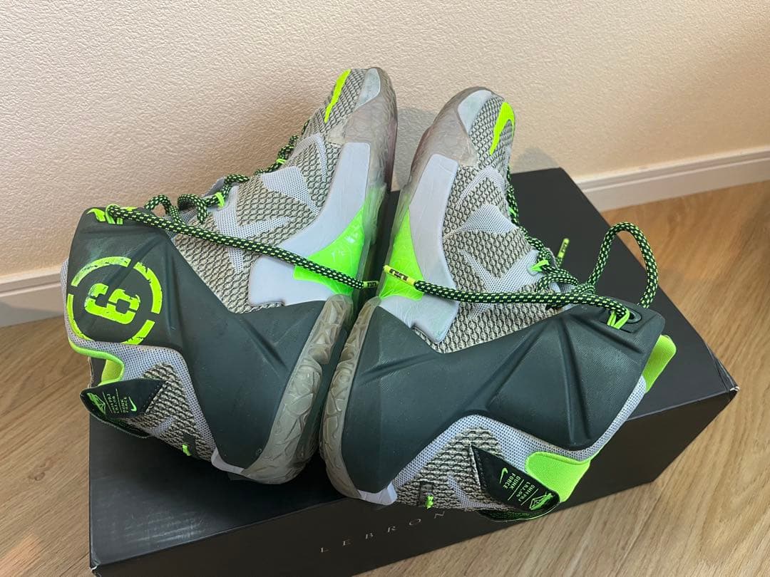 その他 NIKE LEBRON 12 Dunk Force