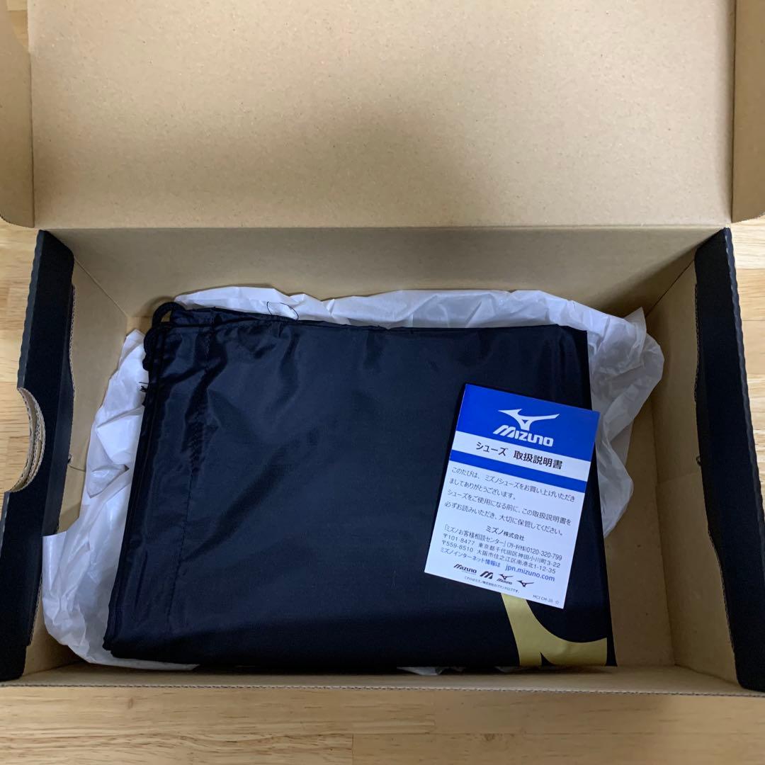 MIZUNO ボクシングシューズ FINISHER 白28.0cm