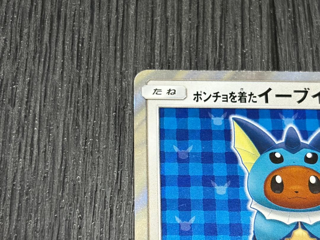 ポンチョを着たイーブイ　シャワーズ