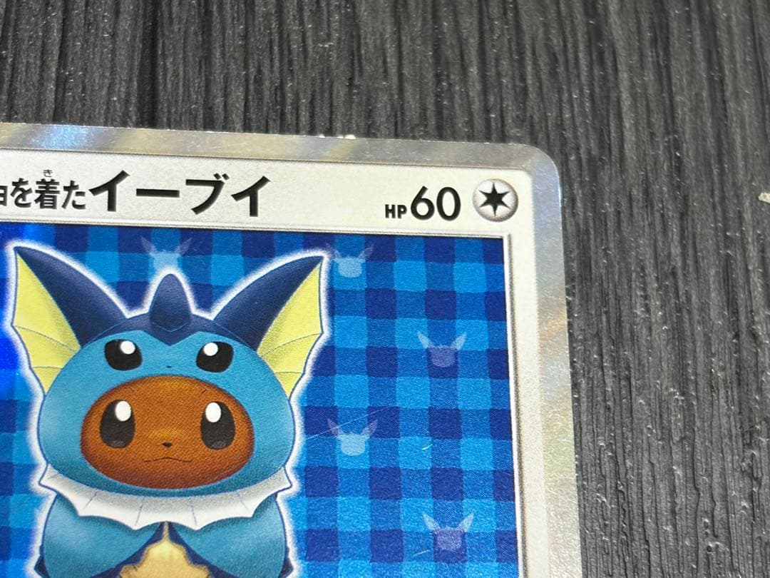 ポンチョを着たイーブイ　シャワーズ