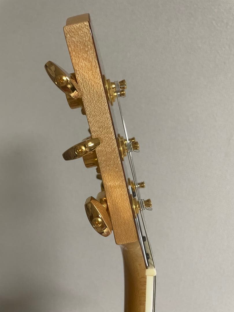 フェルナンデス　MG100x hide ギター (80.120x、同等品)