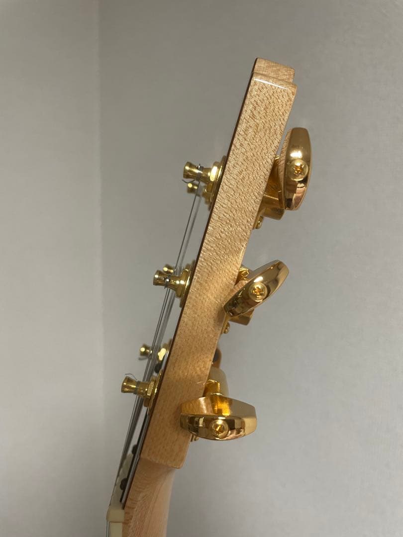 フェルナンデス　MG100x hide ギター (80.120x、同等品)