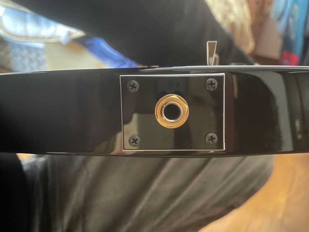フェルナンデス　MG100x hide ギター (80.120x、同等品)