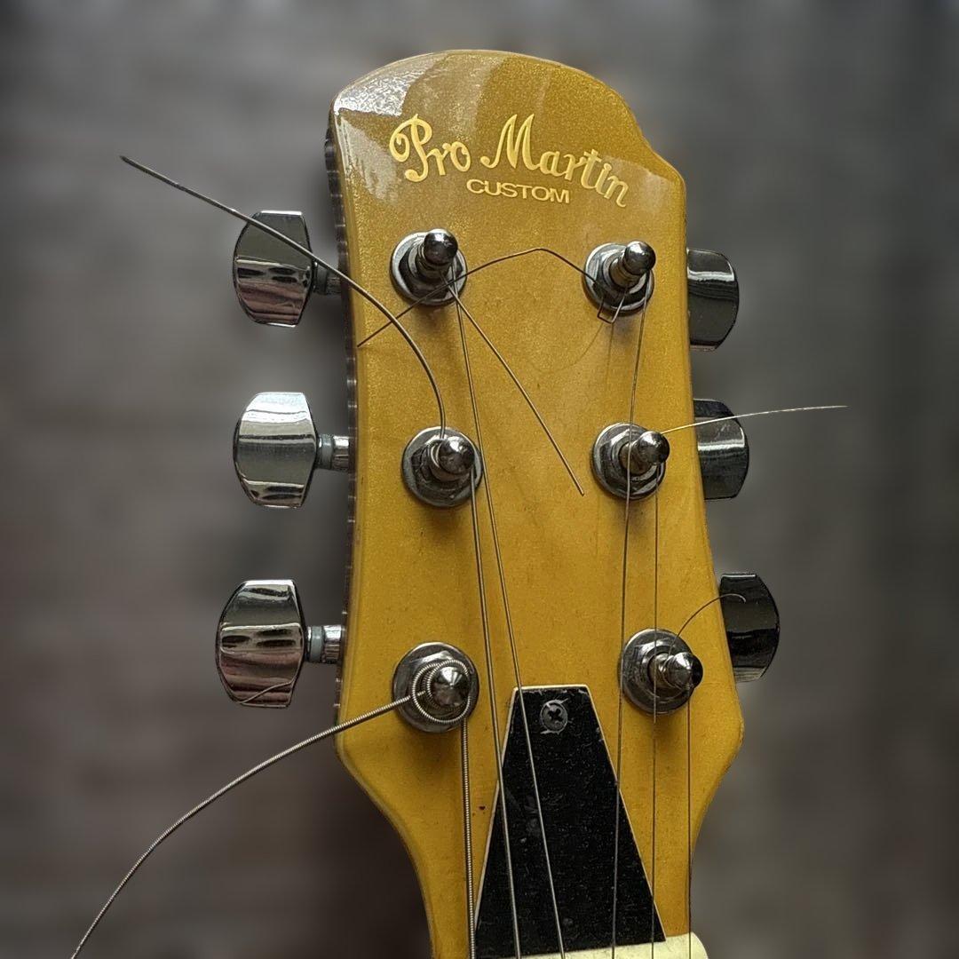 Pro Martin　アンプ内蔵　ヴィンテージ　miniエレアコ