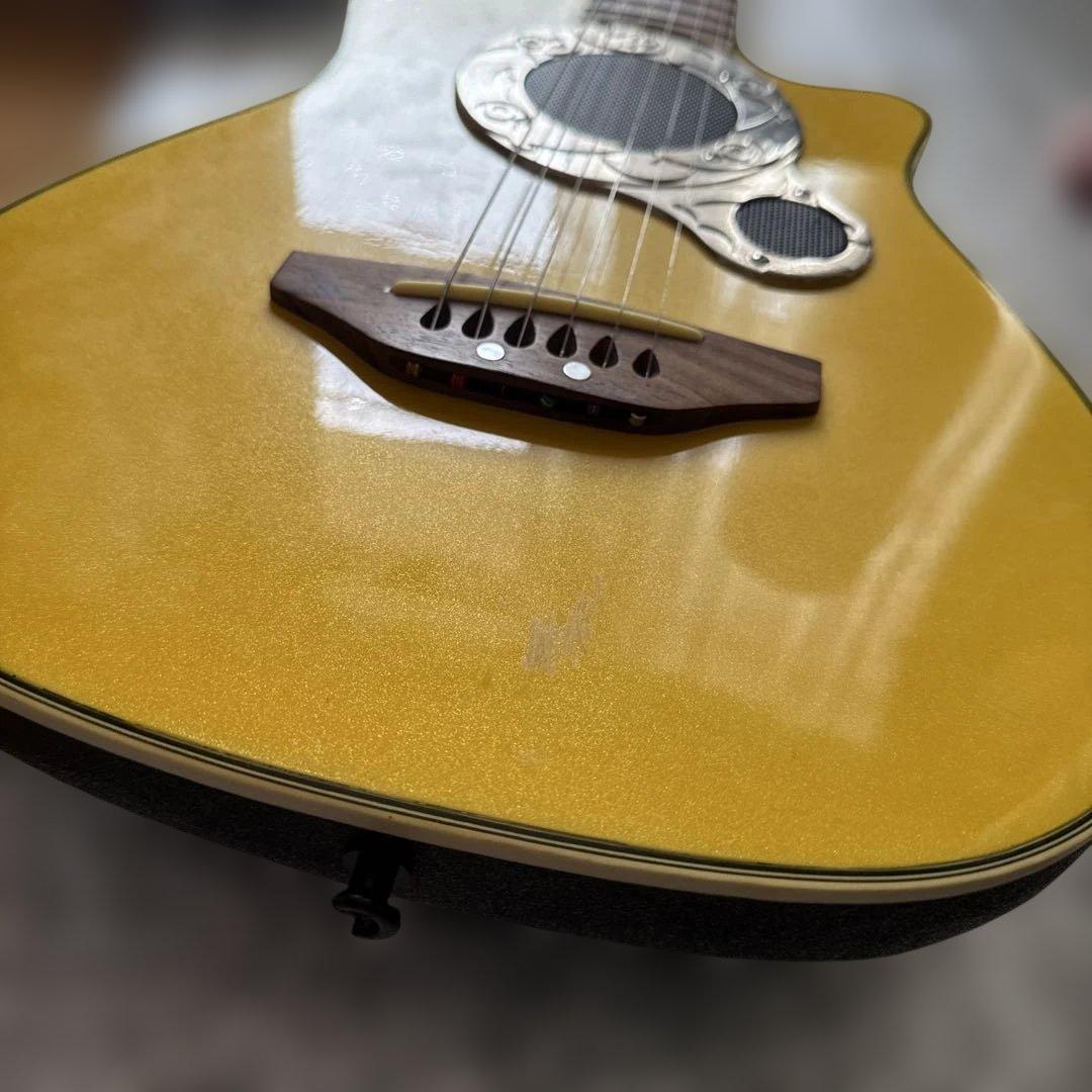 Pro Martin　アンプ内蔵　ヴィンテージ　miniエレアコ