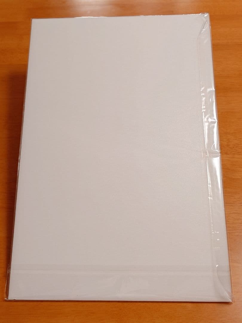 週末限定セール【新品未使用】岩田剛典 タワレコ 展示パネル ARTLESS