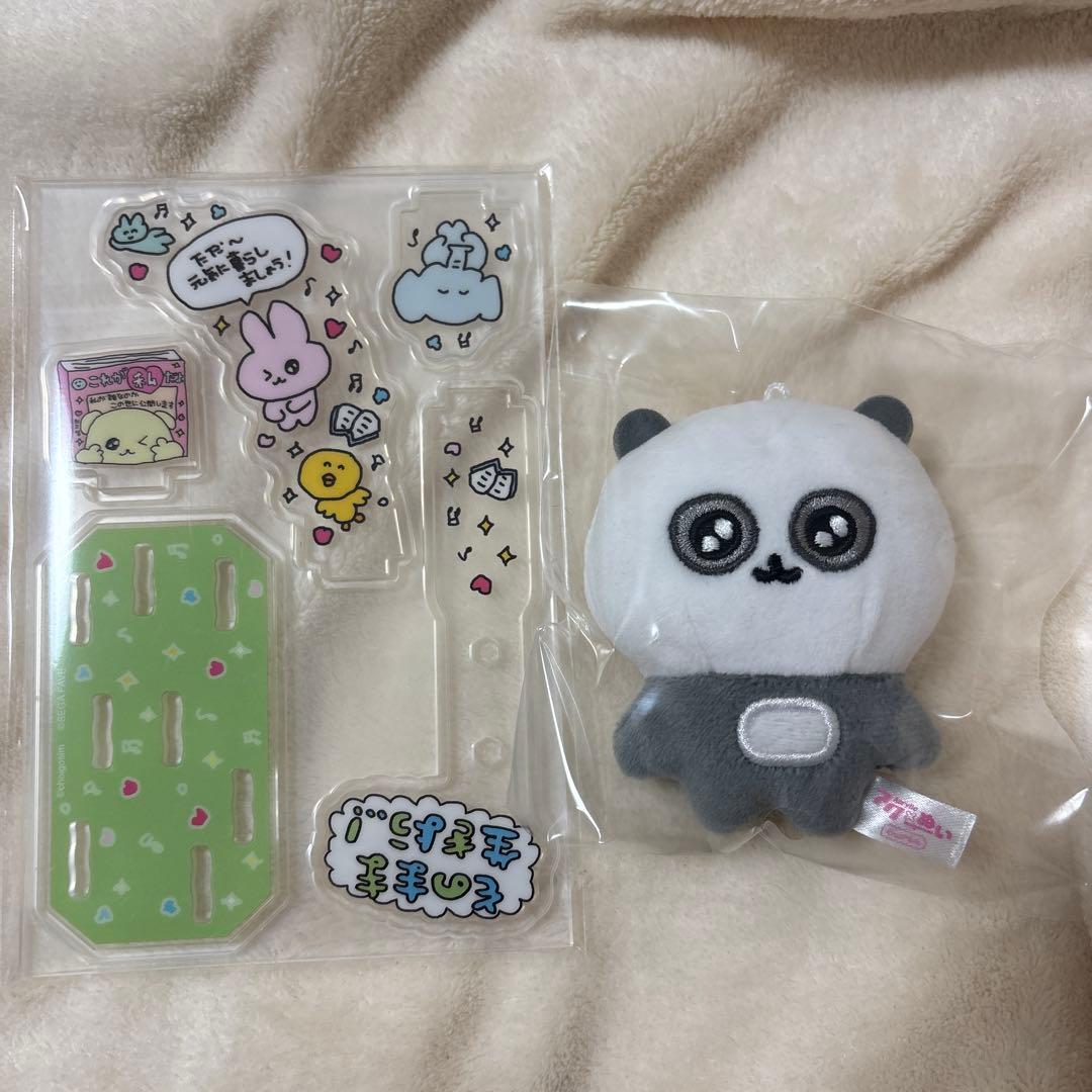 チェゴシム アクぬい まとめ売り