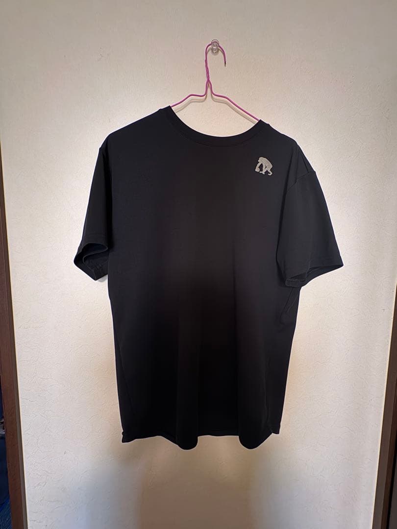 【希少】エゴザル　徳島県国体tシャツ　高校バスケ選抜