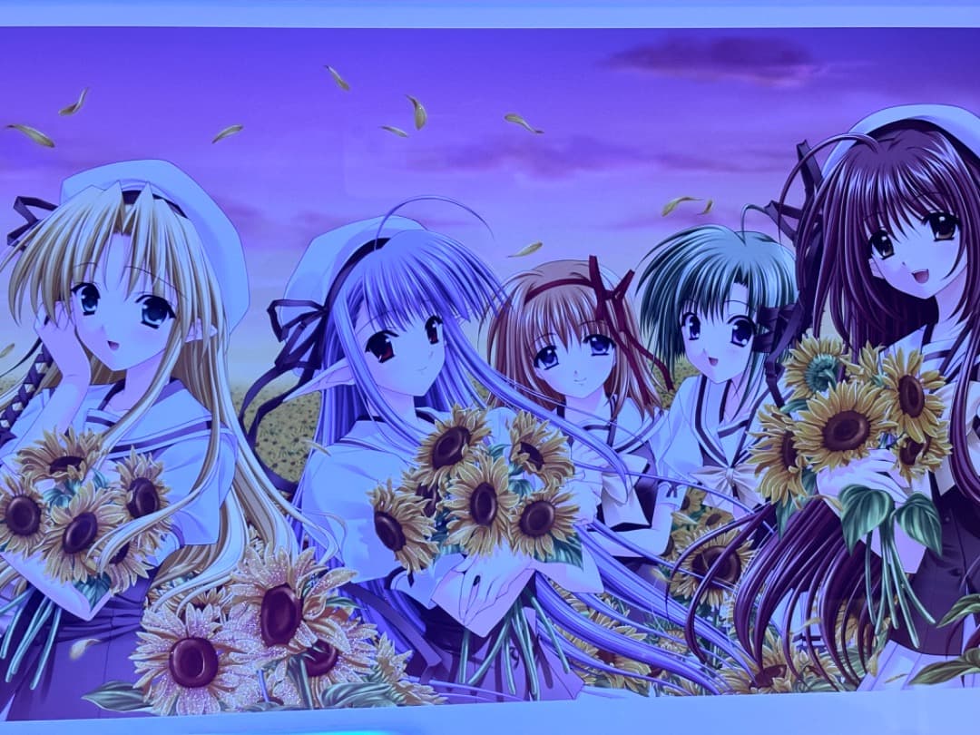 【3月中旬まで】版画　Navel SHUFFLE! (西又葵先生＆鈴平ひろ先生)
