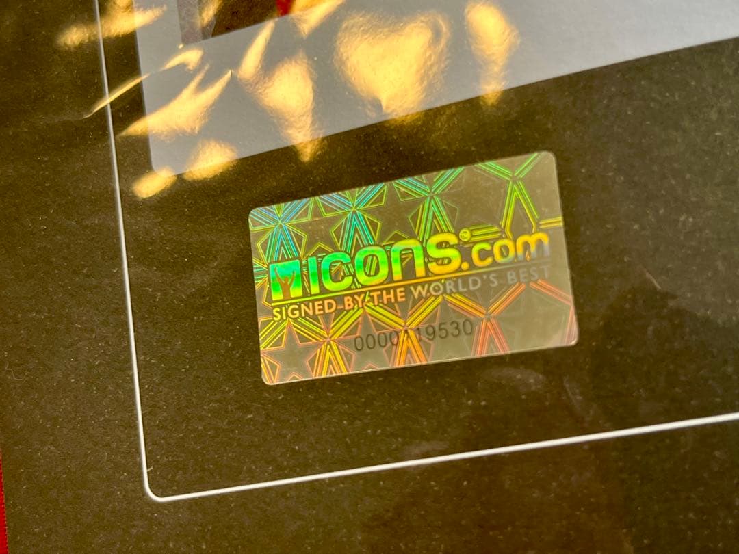 イニエスタ 直筆サイン入り ユニフォーム スペイン代表 icons 証明書付き
