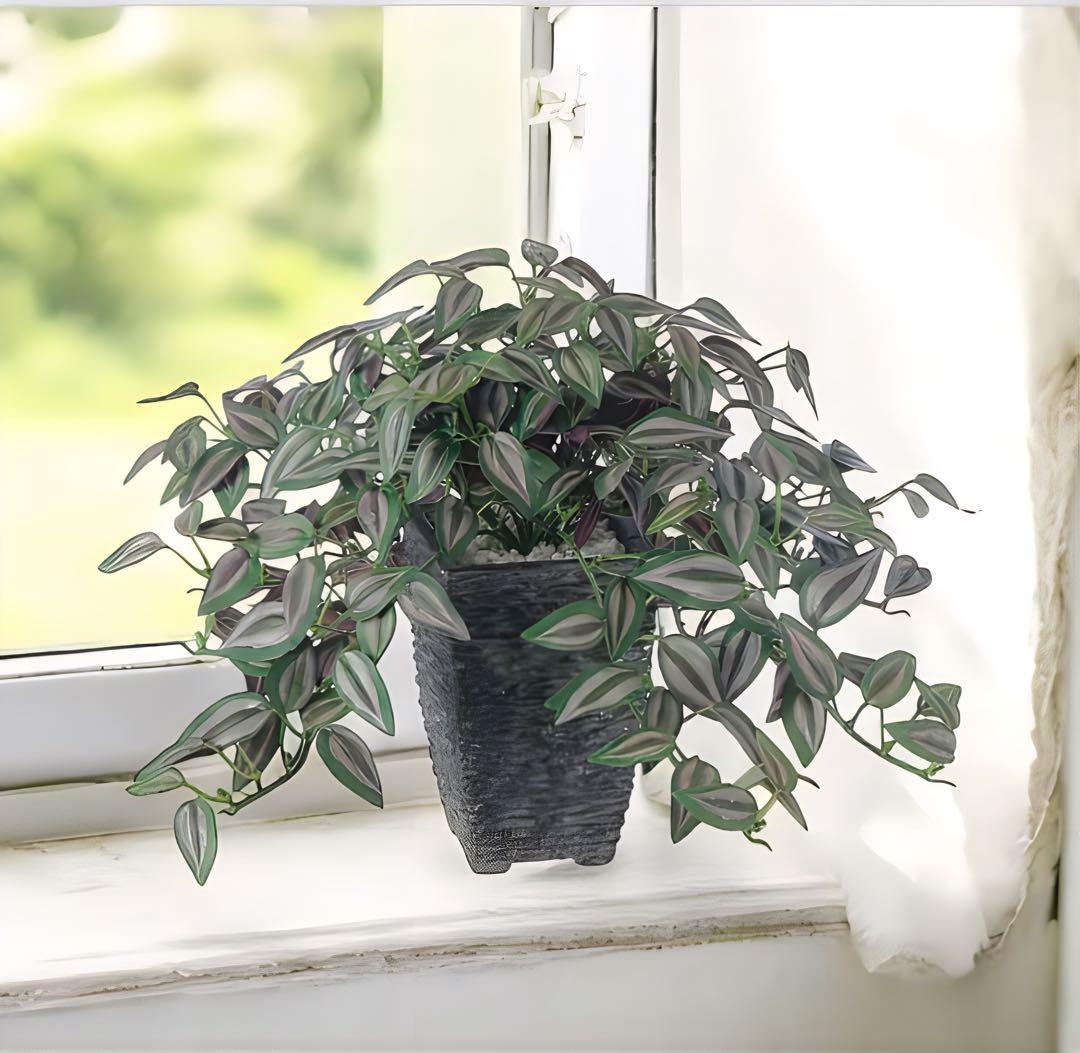 光触媒　人工観葉植物　ウォールグリーン　フェイクグリーン　セブリナ 25cm