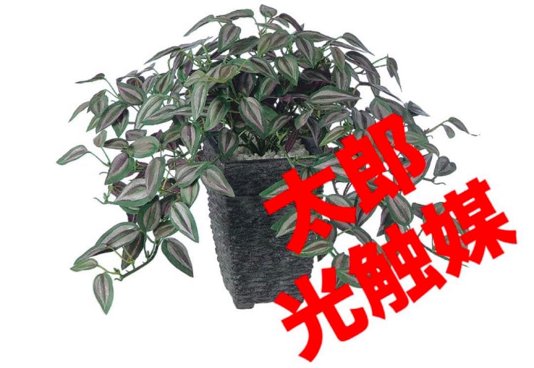 光触媒　人工観葉植物　ウォールグリーン　フェイクグリーン　セブリナ 25cm