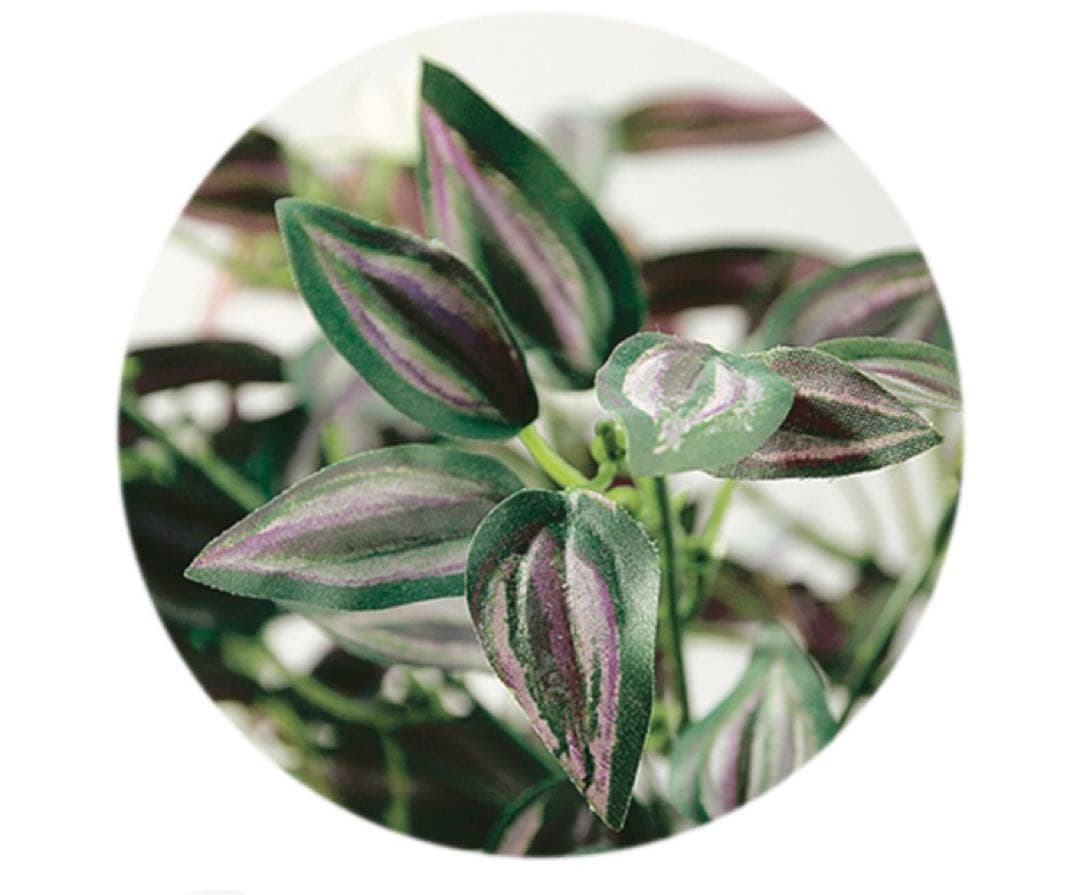 光触媒　人工観葉植物　ウォールグリーン　フェイクグリーン　セブリナ 25cm