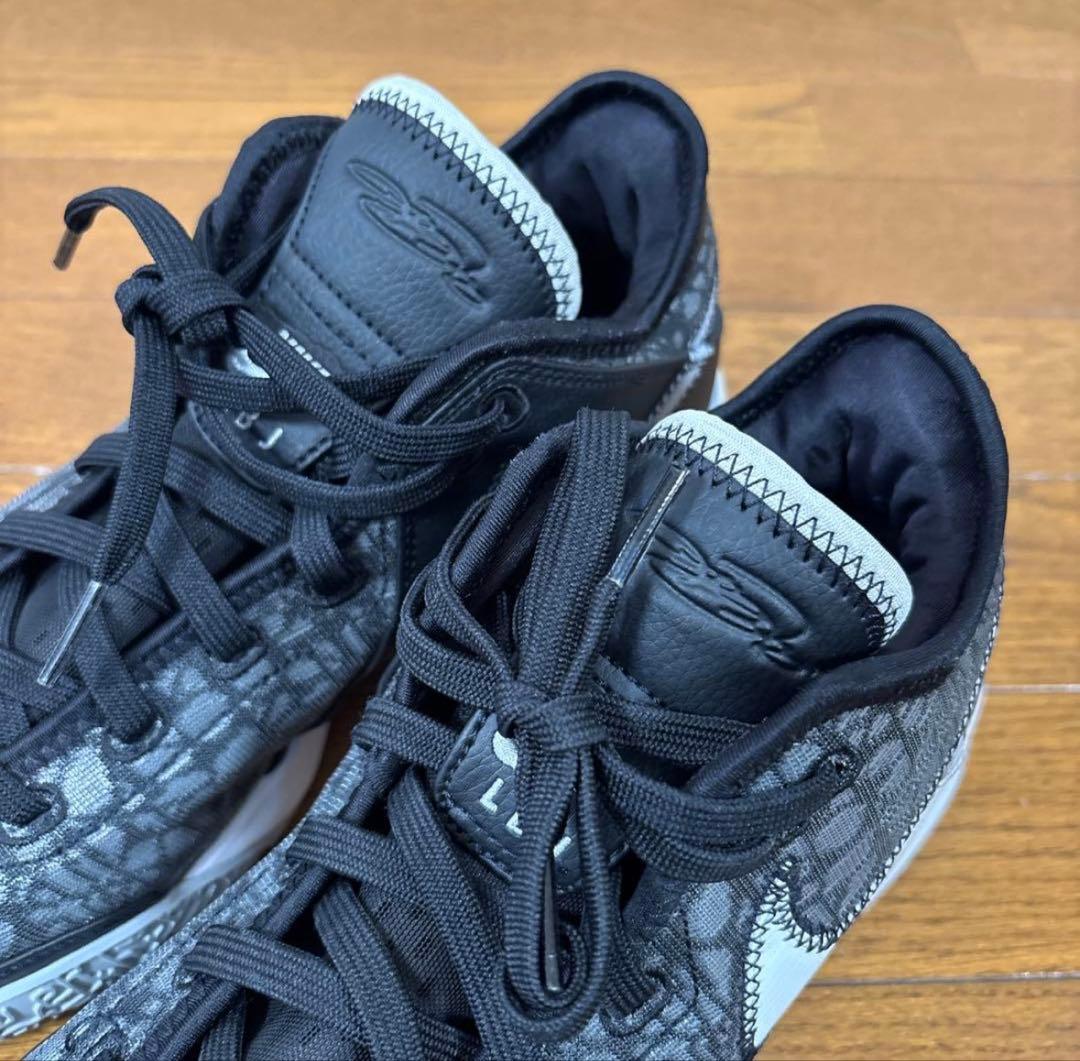 Nike LeBron NXXT Gen レブロンJORDAN バスケ