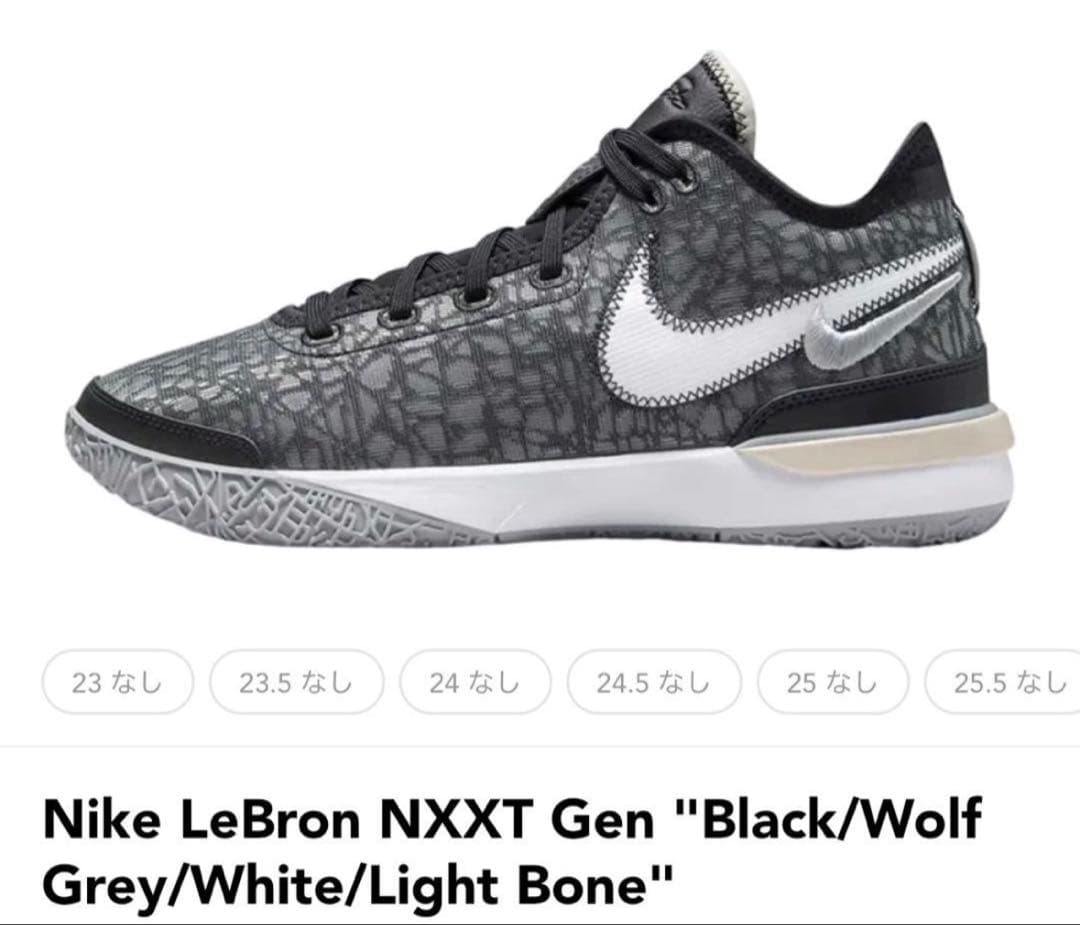 Nike LeBron NXXT Gen レブロンJORDAN バスケ