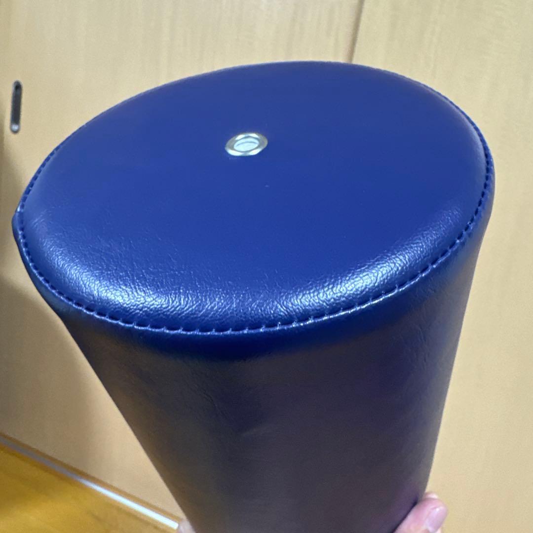 LPN純正品 ストレッチポールEX ネイビー