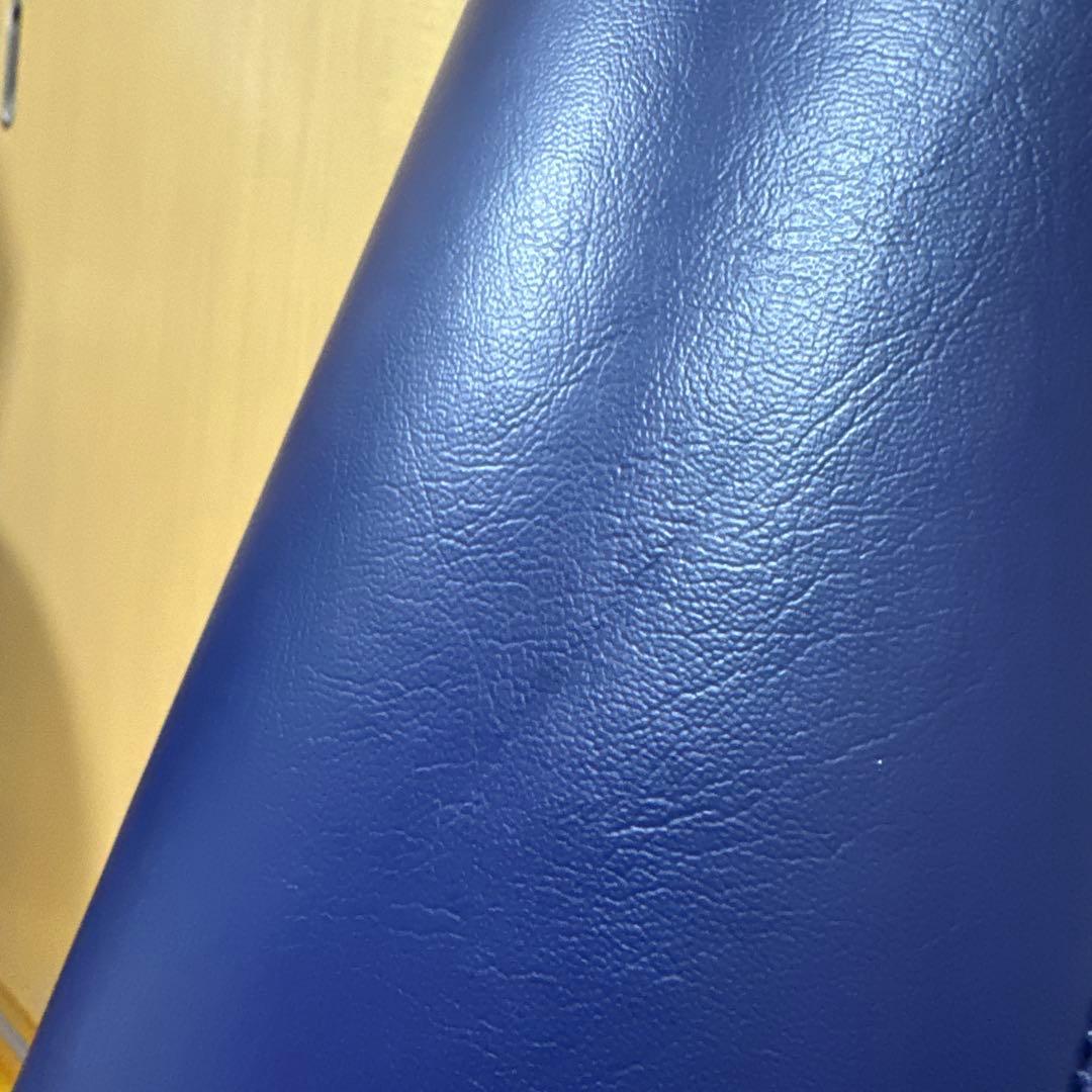 LPN純正品 ストレッチポールEX ネイビー
