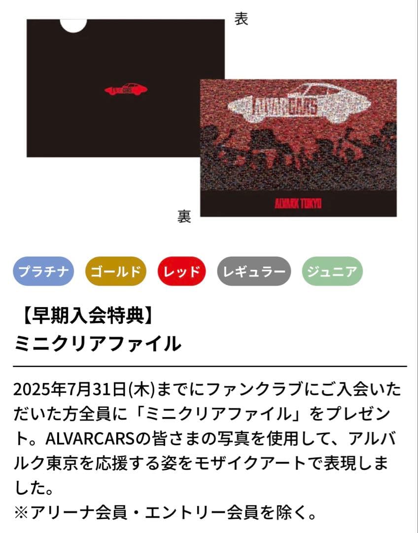 アルバルク東京　ファンクラブ　プラチナFC特典グッズ　adidas バックパック