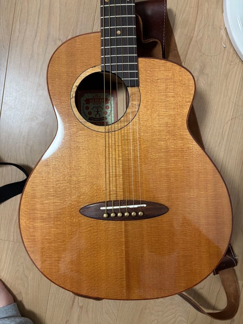 アヌエヌエ　M100 ピックアップ付き