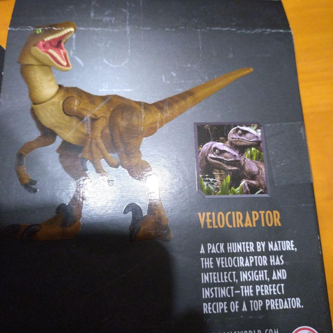 Hammond Collection Velociraptor ヴェロキラプトル